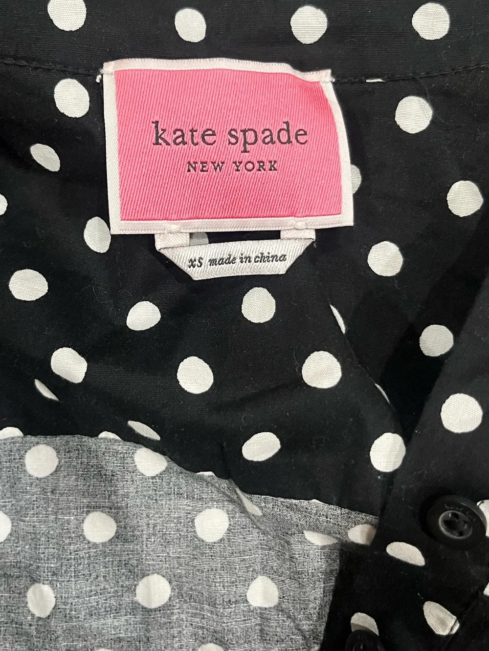 Kate Spade Harmony Dot Lake Dress